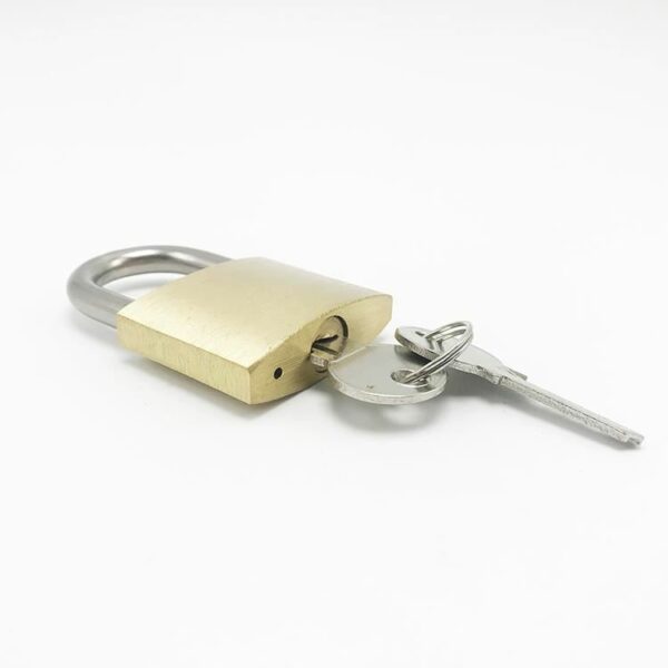 Factory Outlet cheap key small brass designer padlocks with logo - Image 4